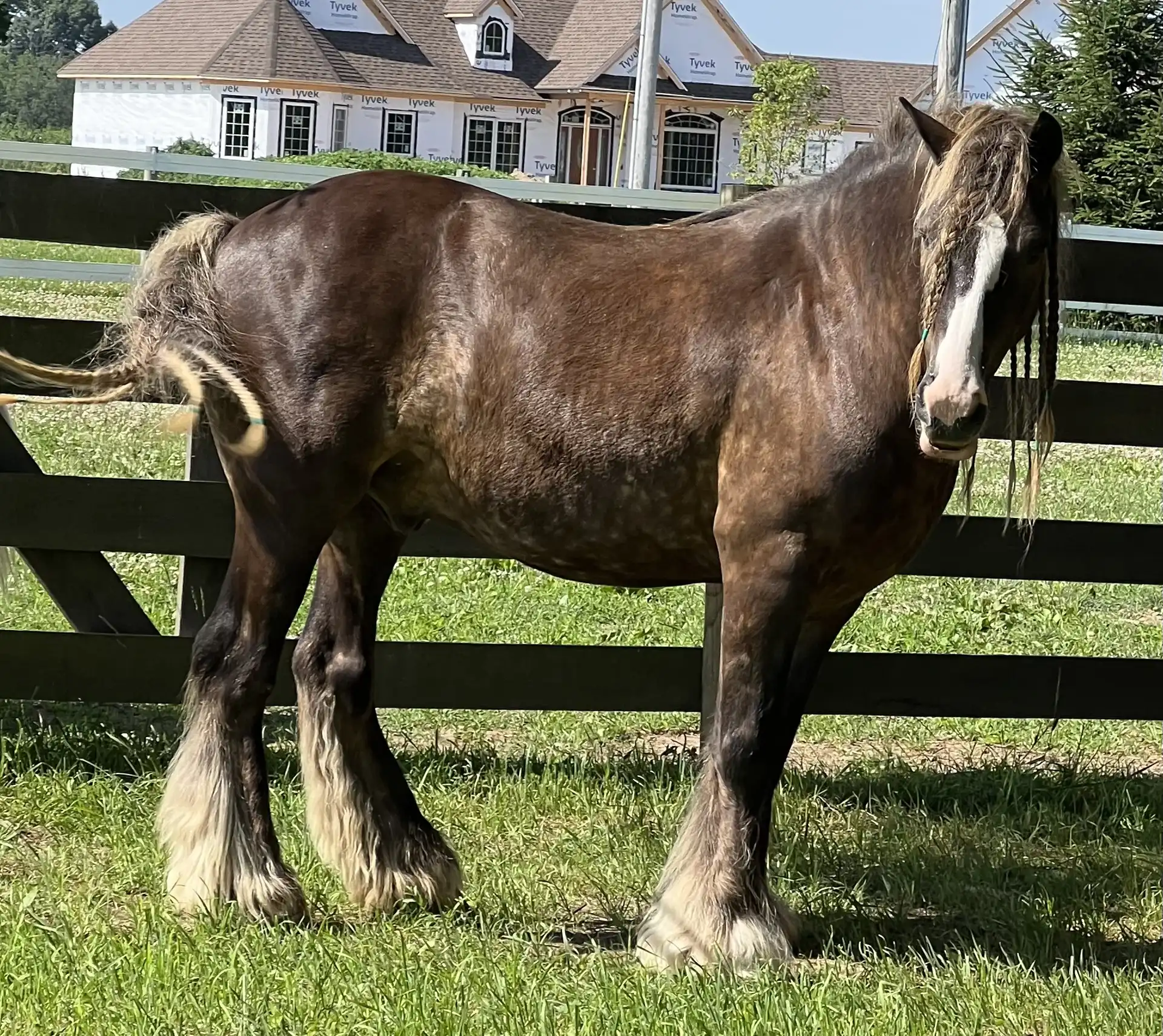 Coco - Media (Unknown)