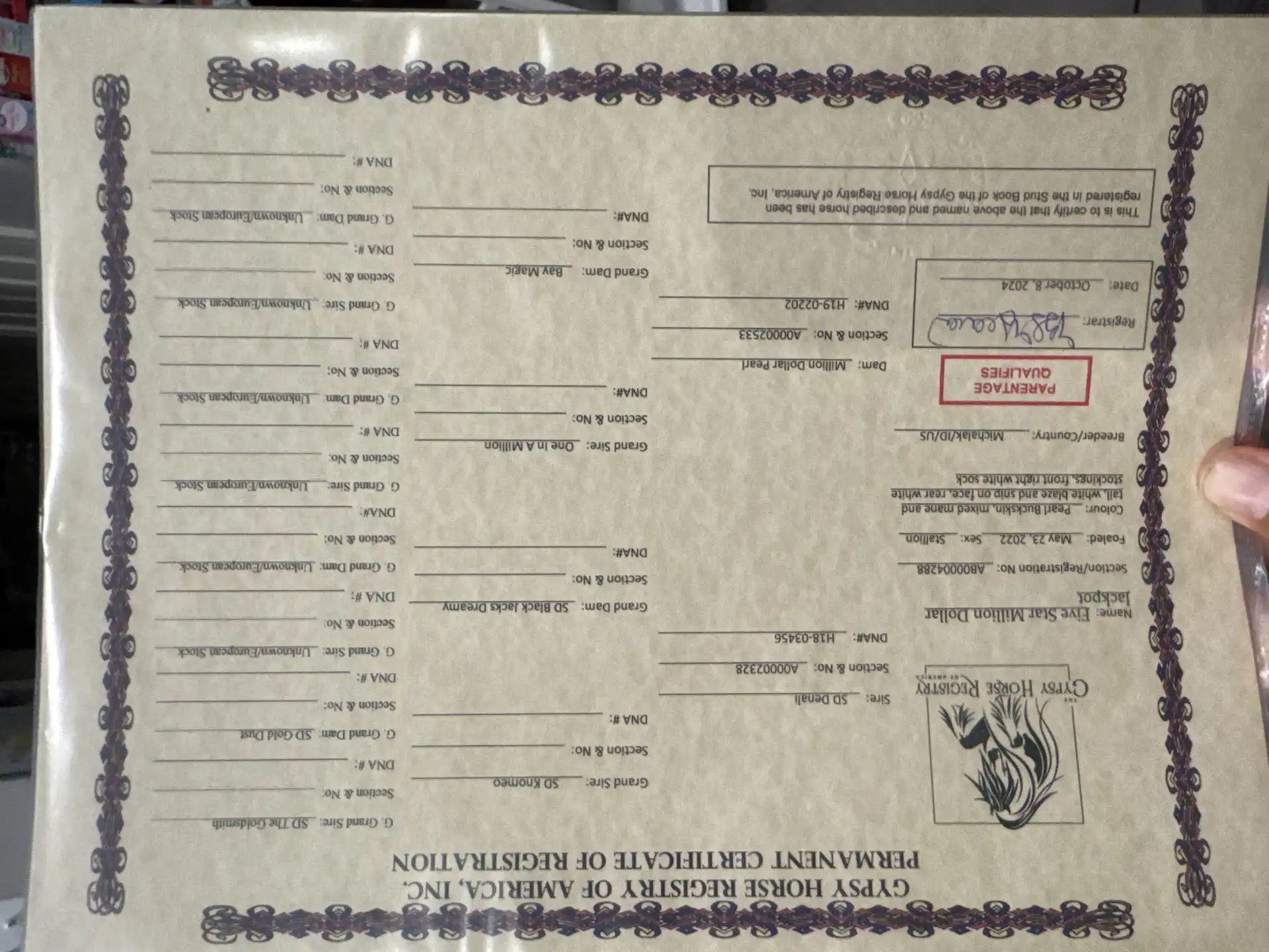 Registration Pedigree - Media (1916)