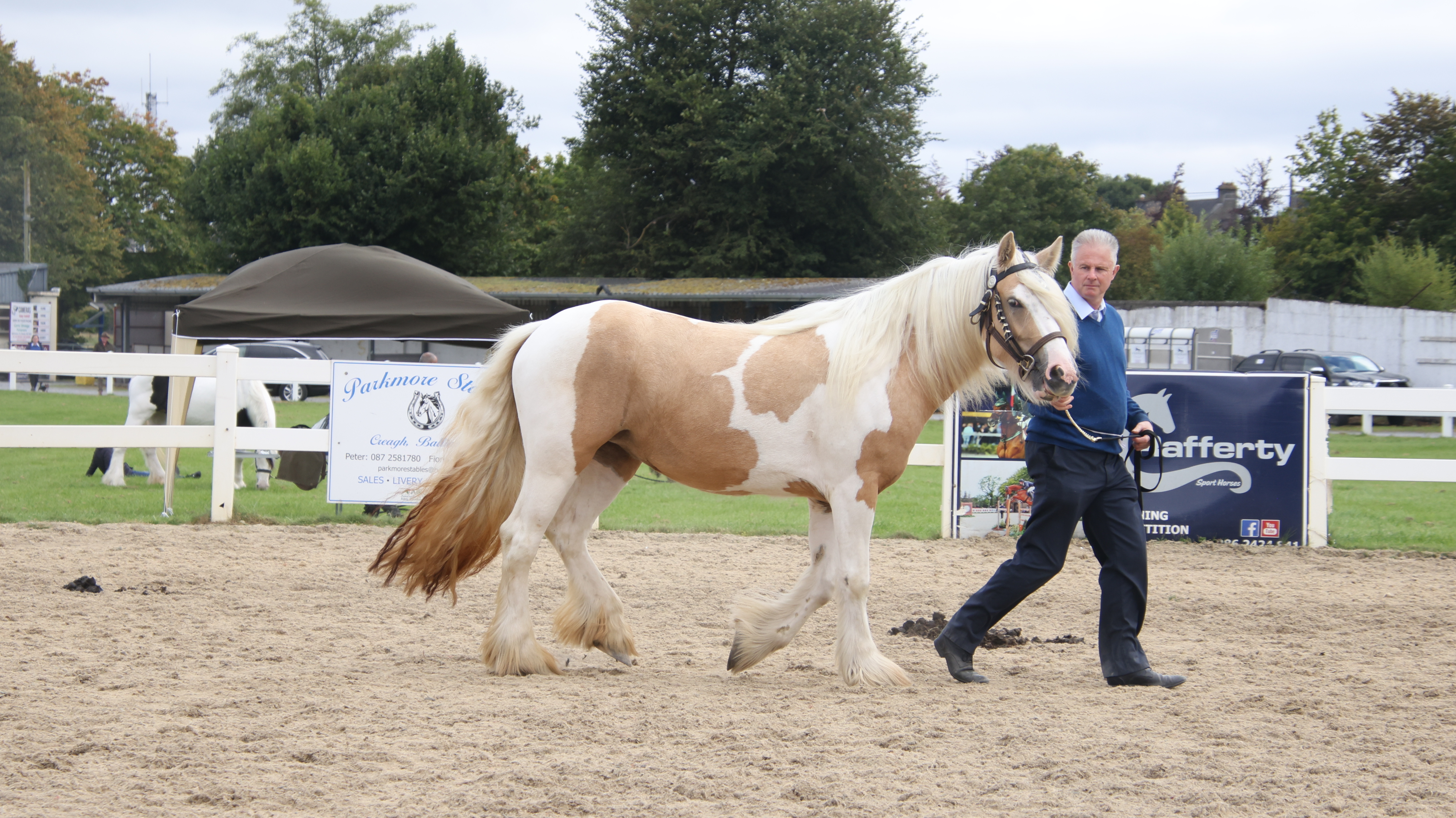 Rita Ora - Media (Unknown)