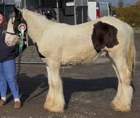 Cleggan Devine Happy Ever After - Media (Unknown)
