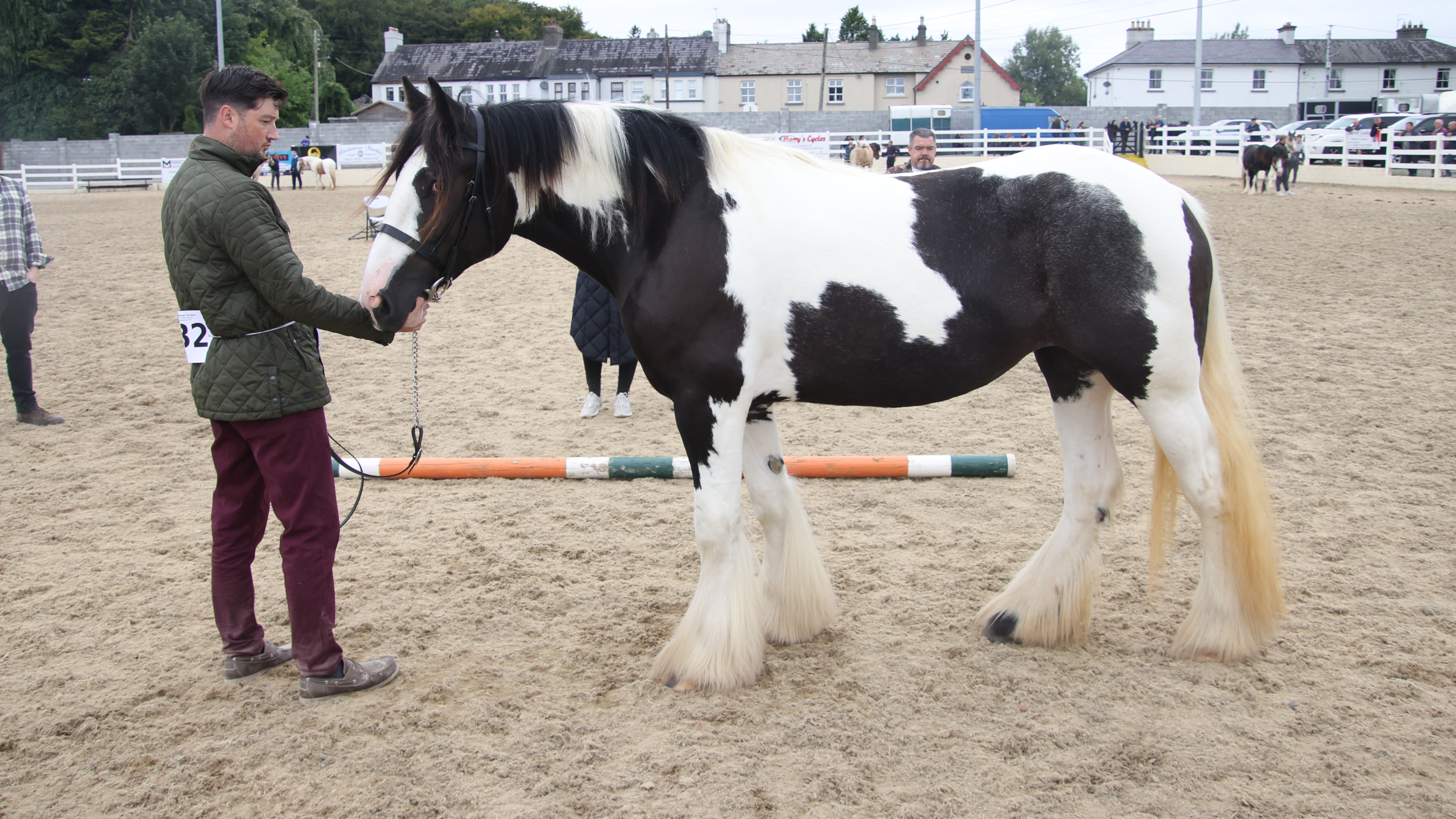 Kilmurray Perdita - Media (Unknown)