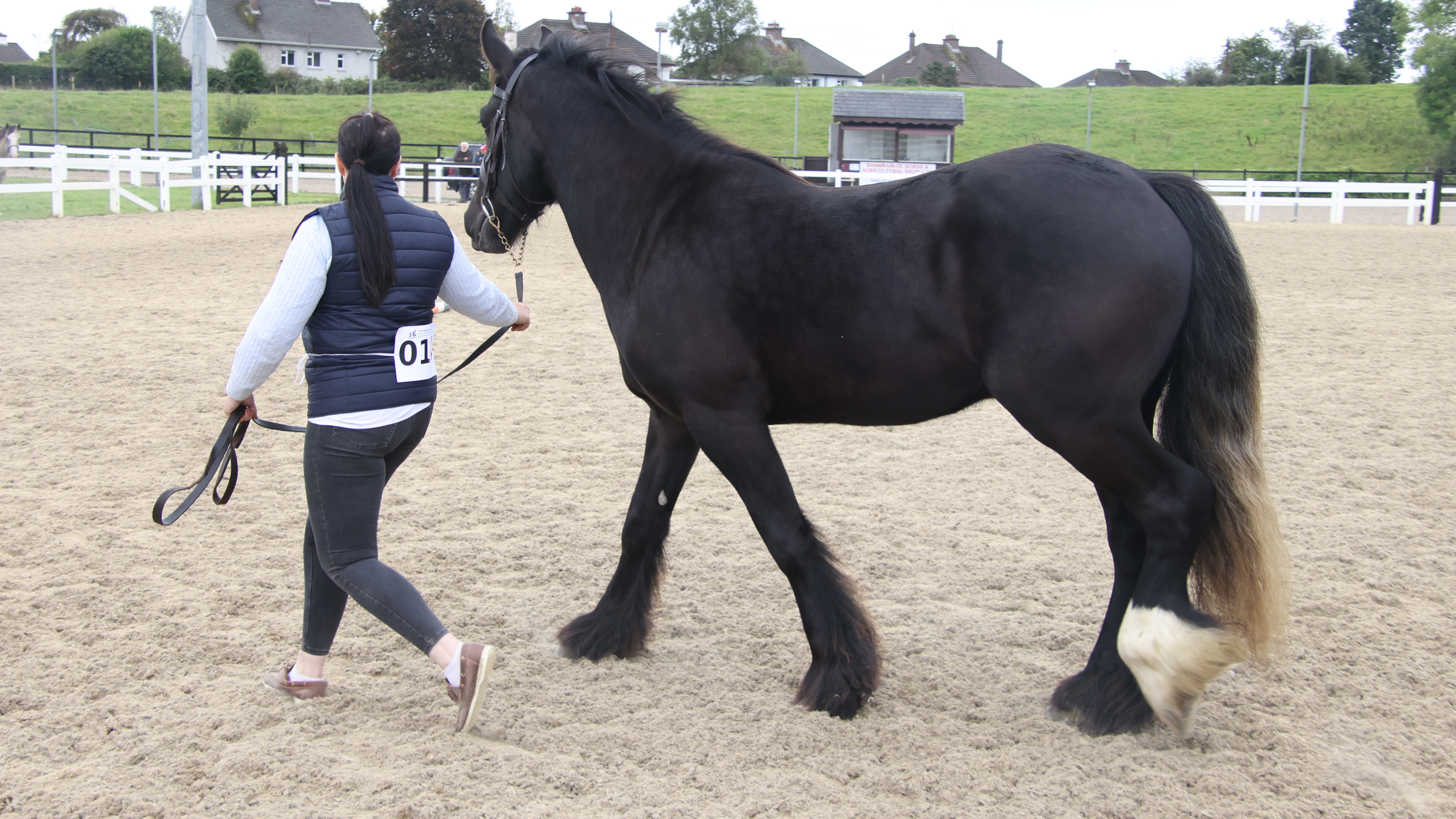 Cleggan Gw - Media (Unknown)