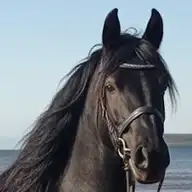 Nero - Media (Unknown)