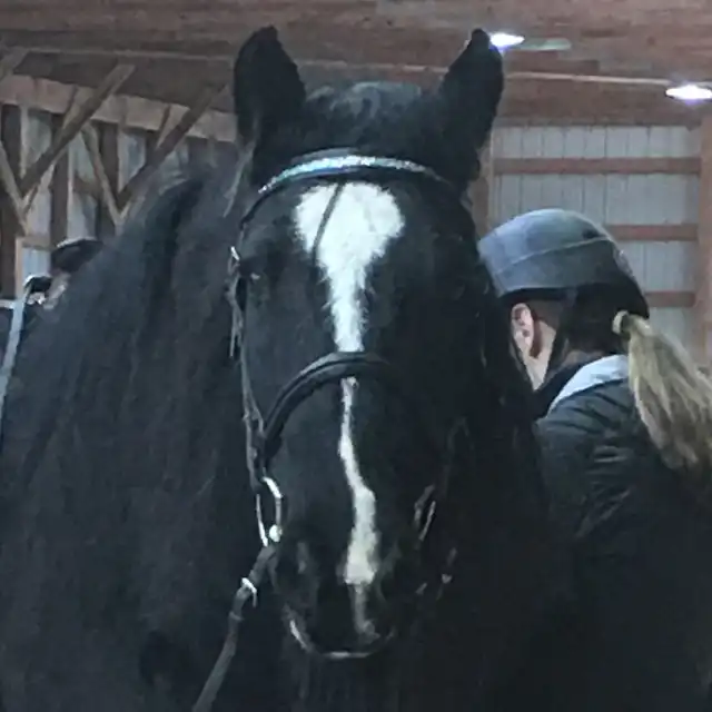 MS Izabel - Media (Unknown)