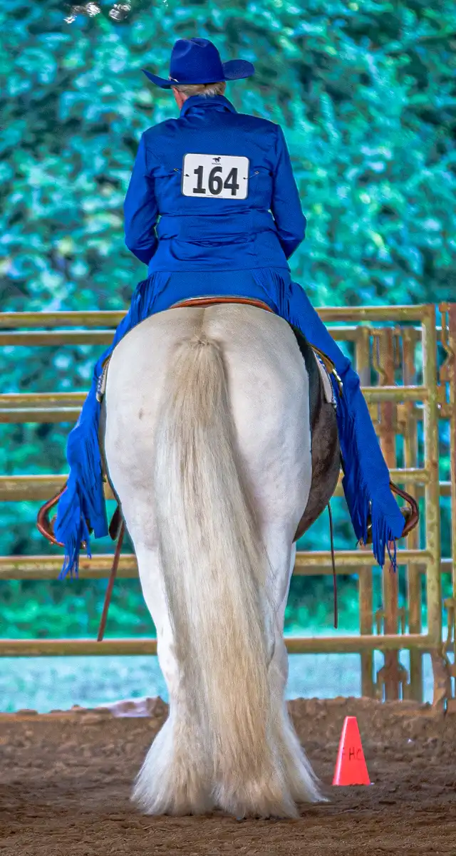 Backyard Swagger - Media (Unknown)