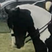 Mr Woo - Media (Unknown)