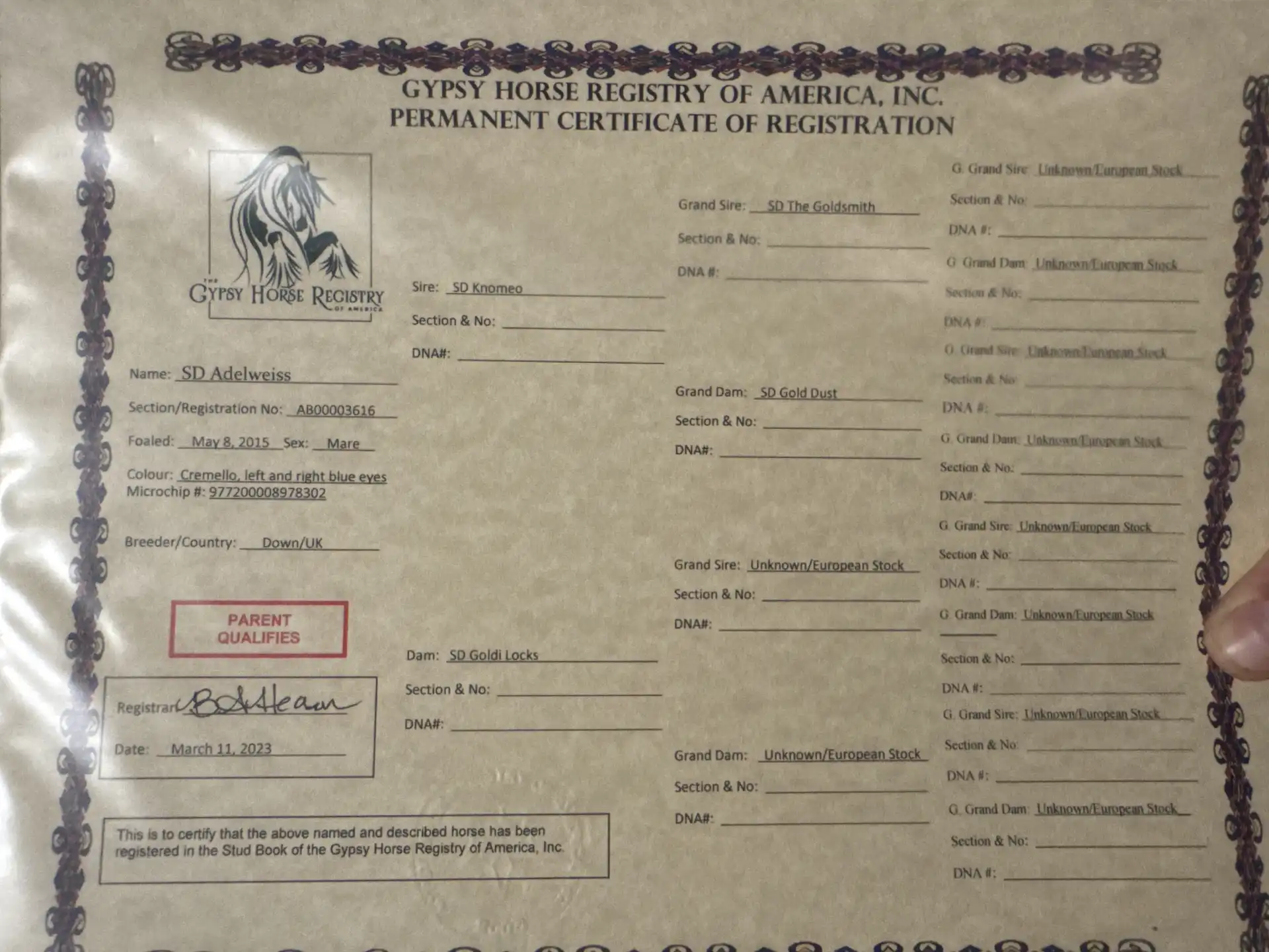 Registration Pedigree - Media (1928)
