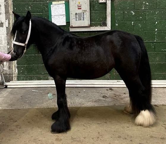 Manhatten - Media (Unknown)