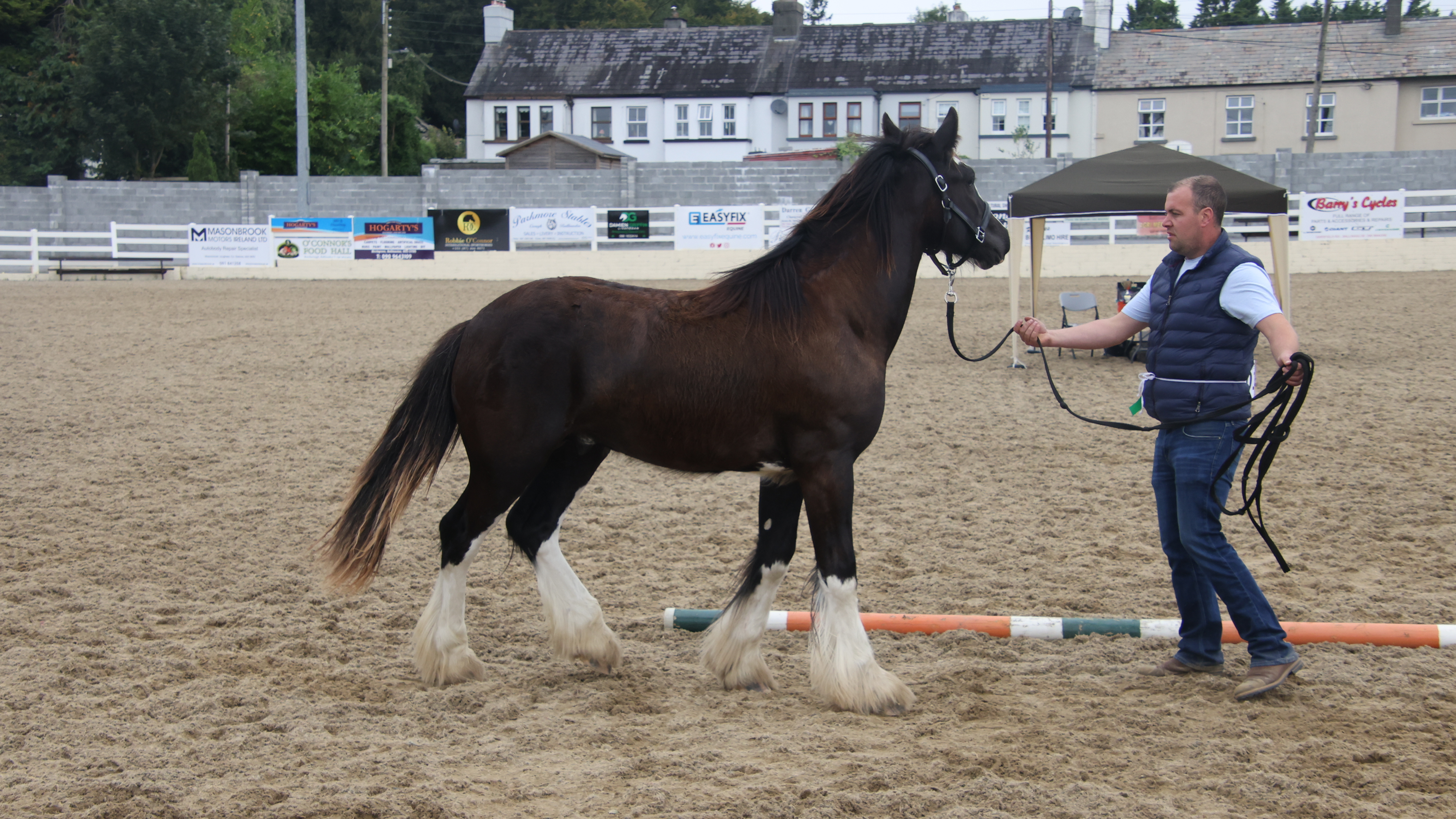 Rodney - Media (Unknown)