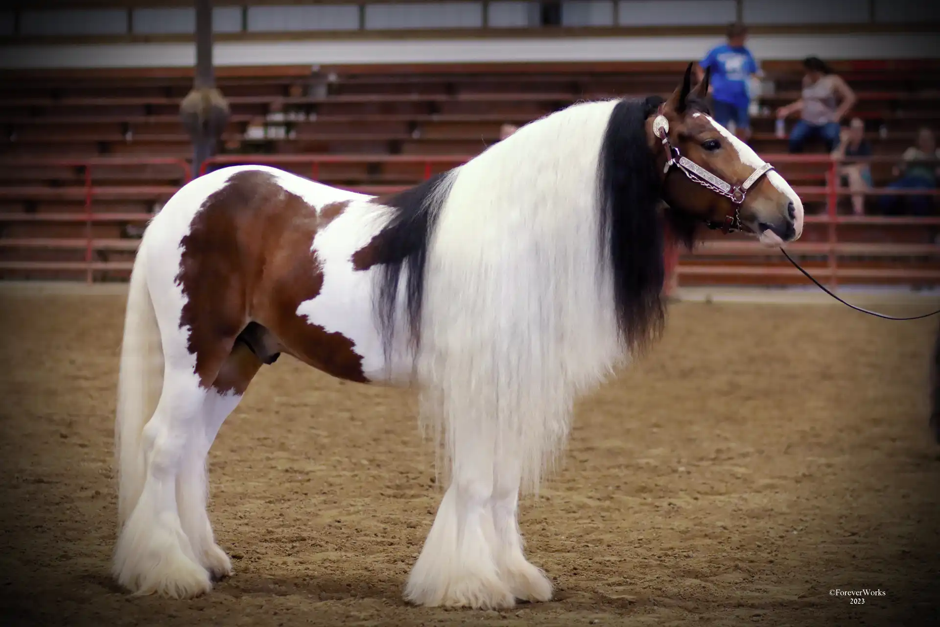 Fire Away - Media (Unknown)