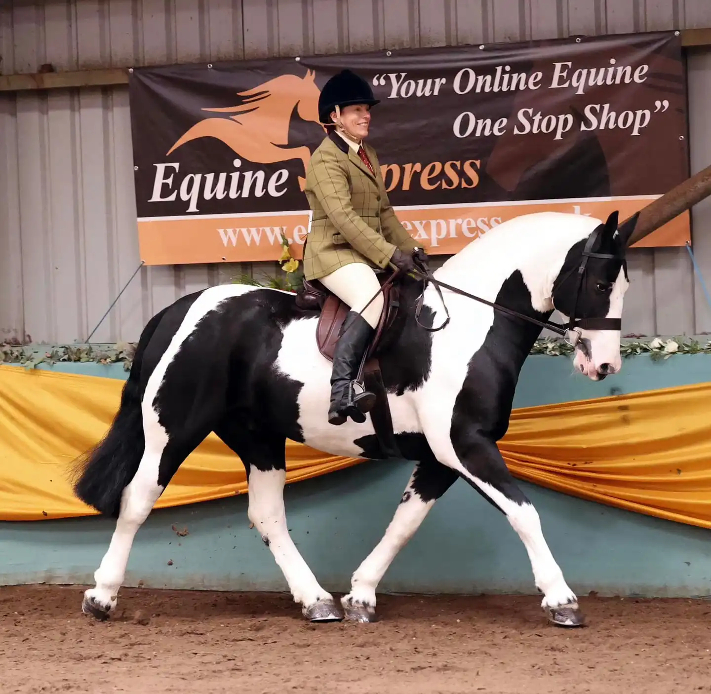 Orcaber Legacy - Media (Unknown)