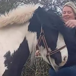 Ace - Media (Unknown)