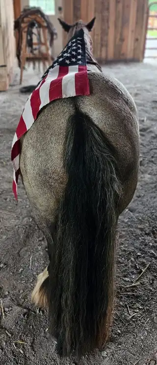 Gitt Made With Amazing Grace - Media (Unknown)