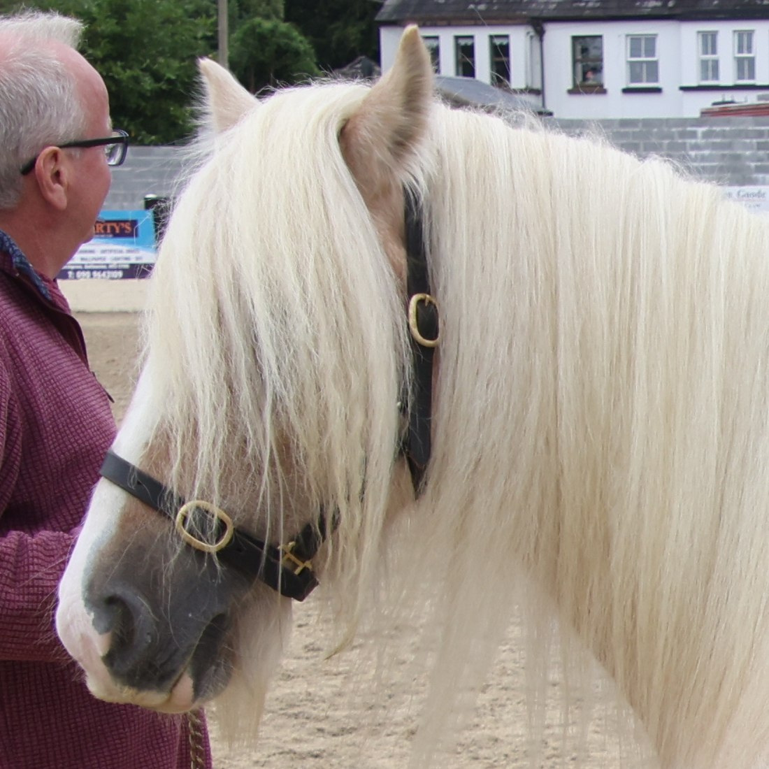 Blondie - Media (Unknown)