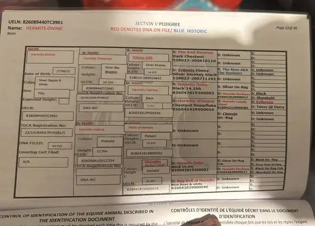 Registration Pedigree - Media (2725)