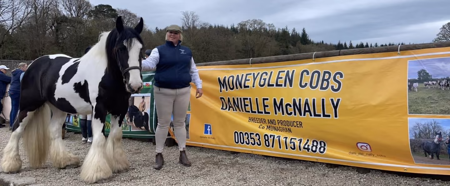 Moneyglen Cobs - Media (395)