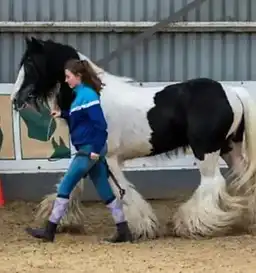 Longacre Jess - Media (Unknown)