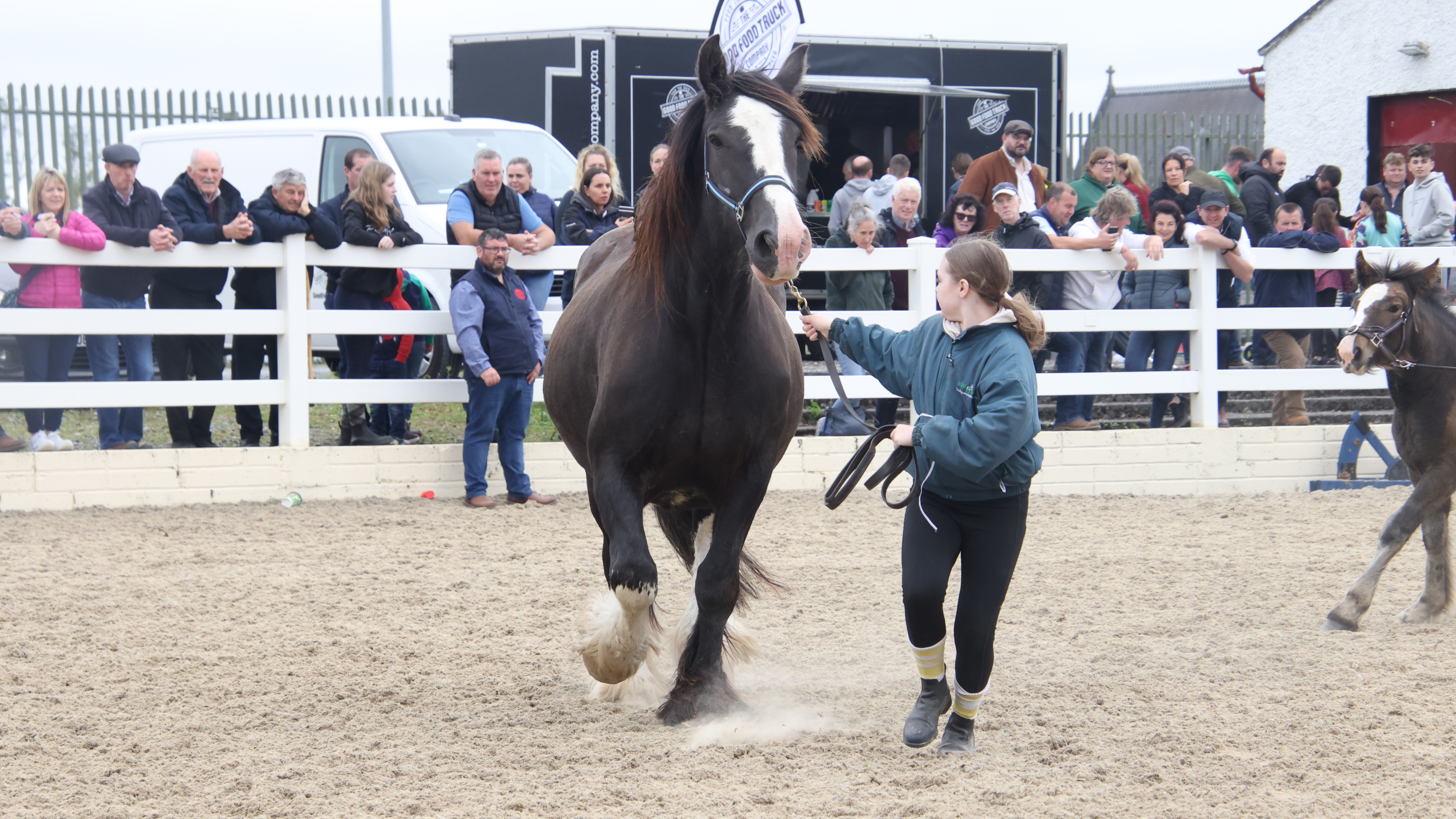 Betty - Media (Unknown)