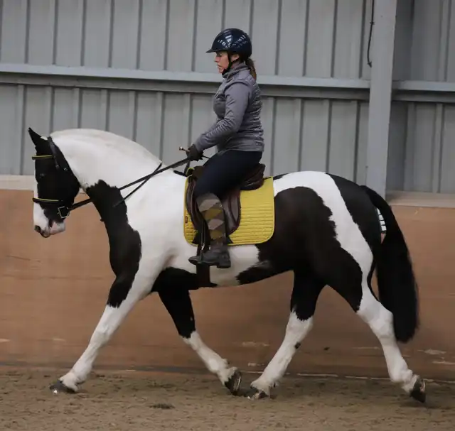 Orcaber Legacy - Media (Unknown)