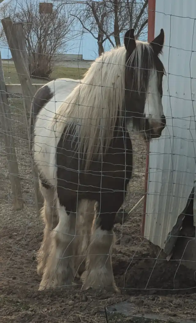 Lena - Media (Unknown)