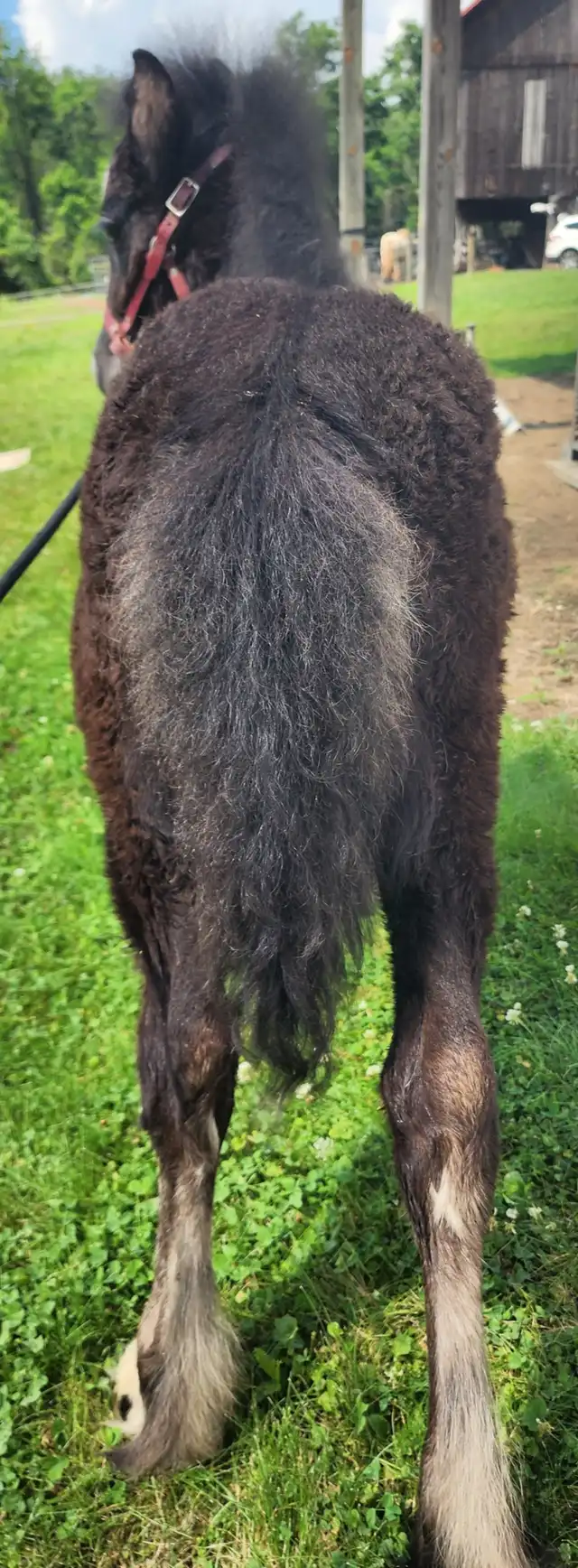 Bex N Snow - Media (Unknown)