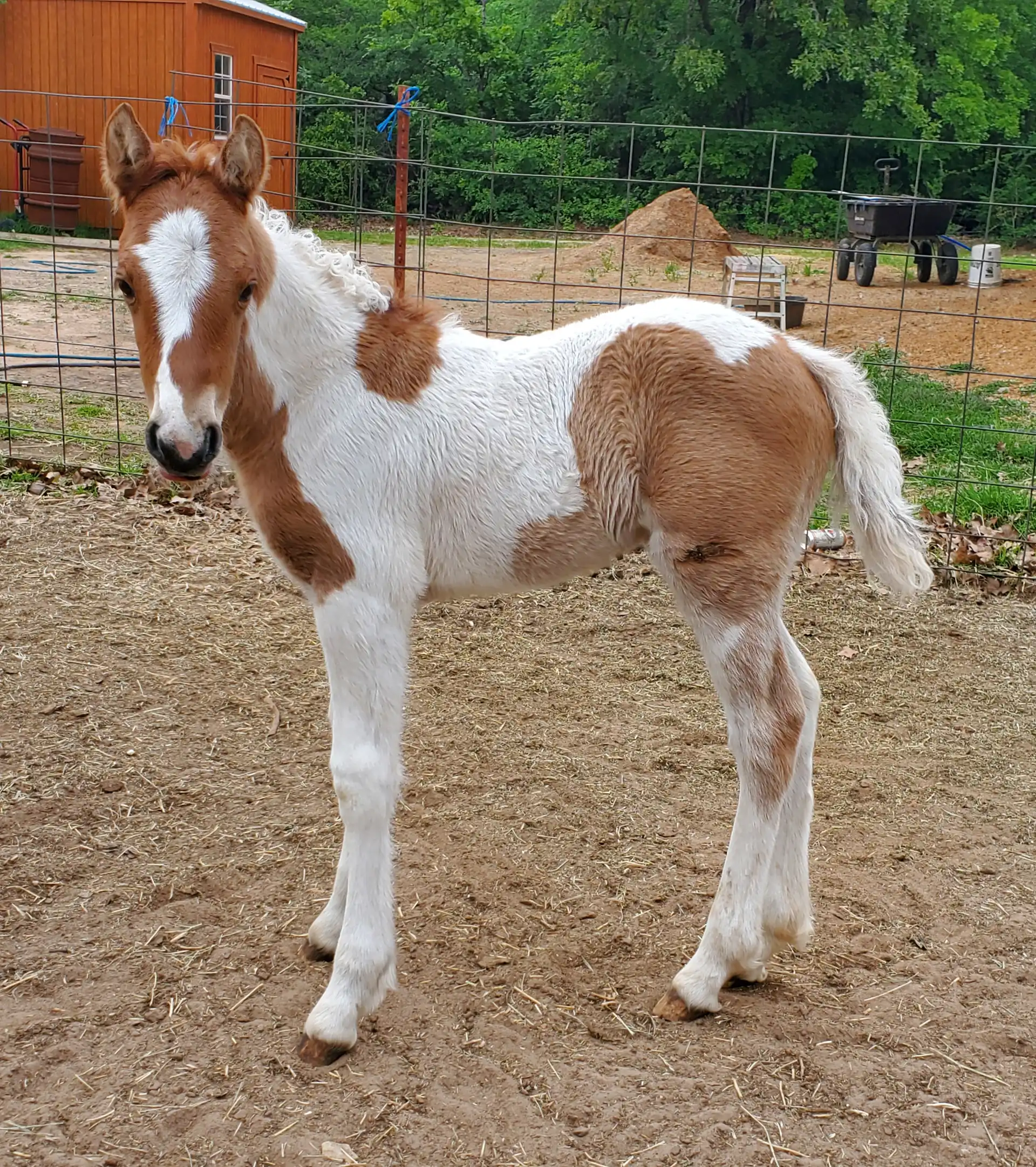 RsF Versaces Got Bubbles - Media (Unknown)