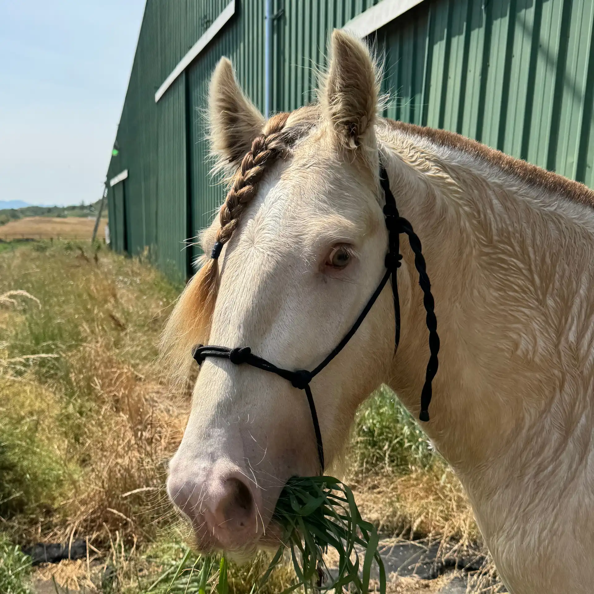 Five Star Million Dollar Jackpot - Media (Unknown)