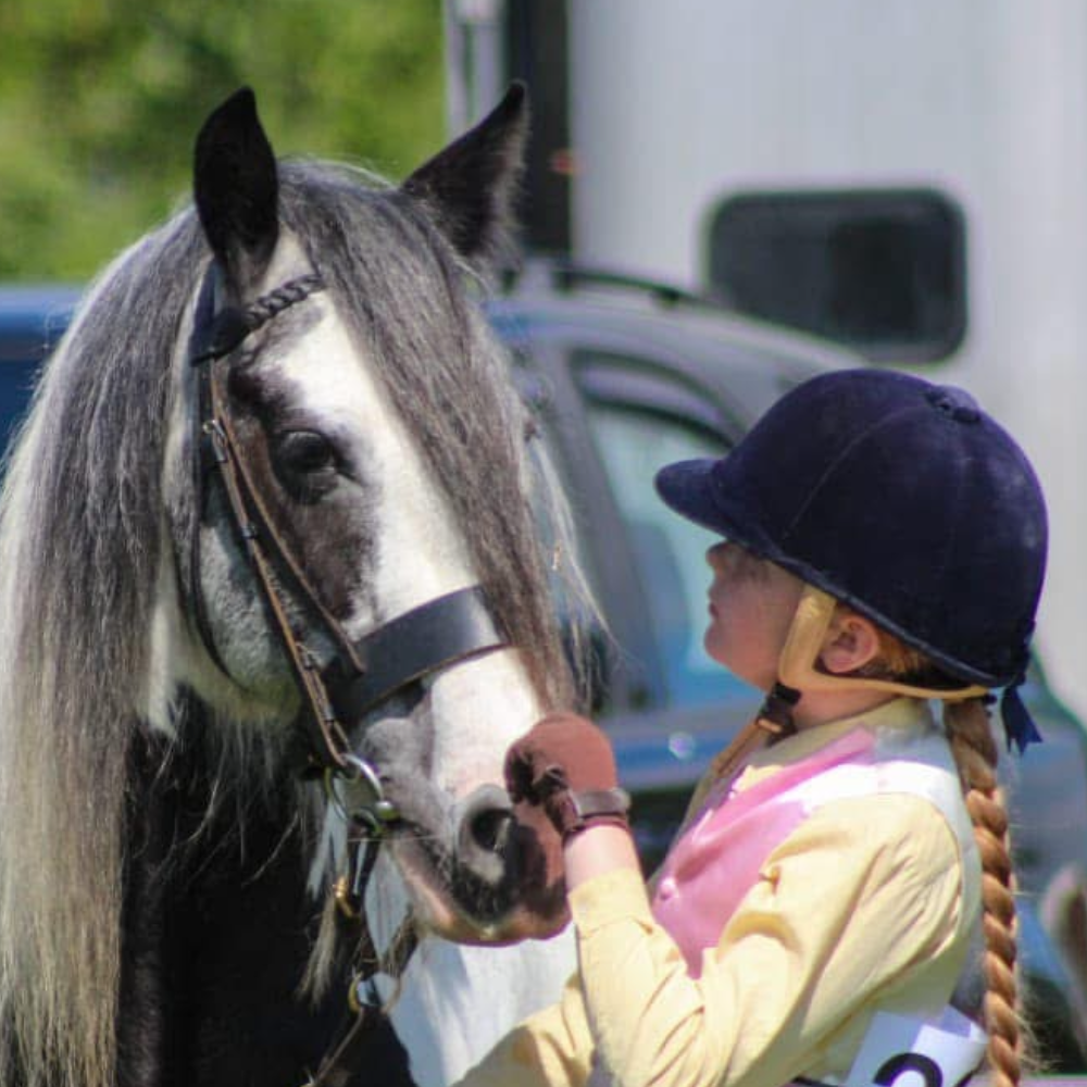 As if by Magic - Media (Unknown)