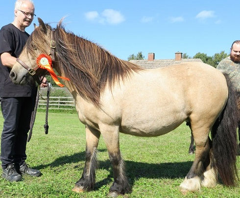 Mia Bella - Media (Unknown)