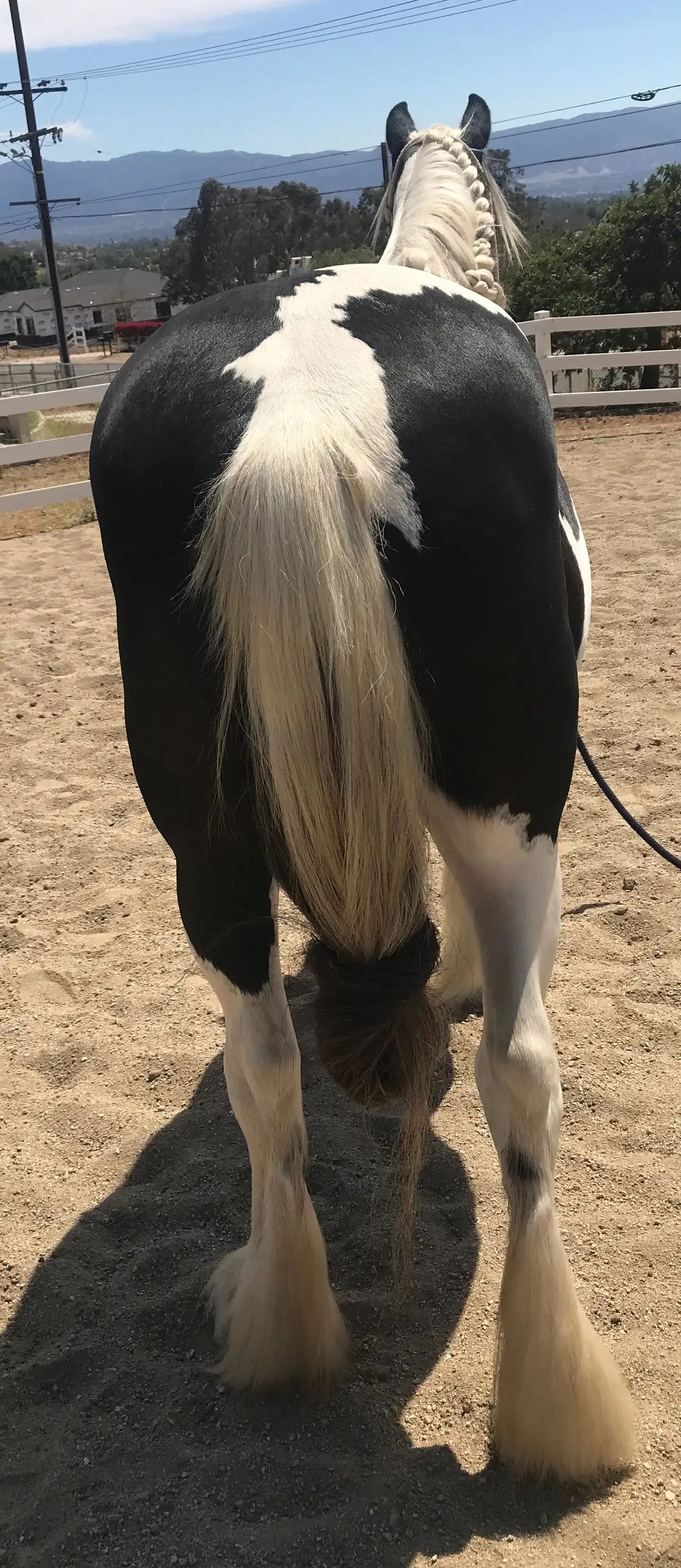 Kb Charlie Rose - Media (Unknown)