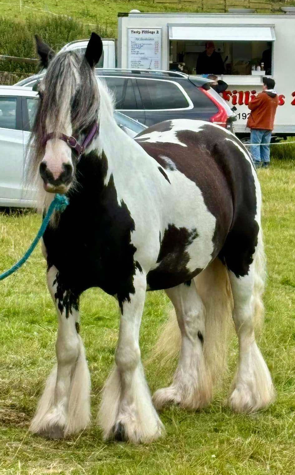 As if by Magic - Media (Unknown)