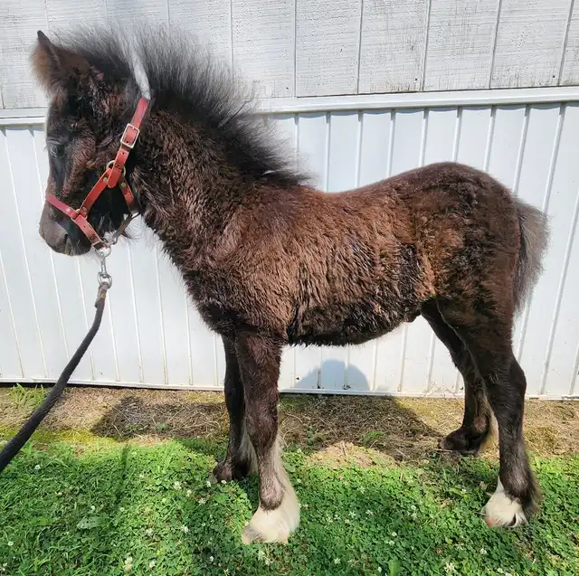 Bex N Snow - Media (Unknown)