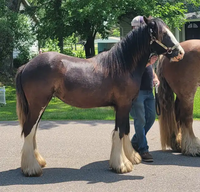 FTF In the Air Tonight - Media (Unknown)