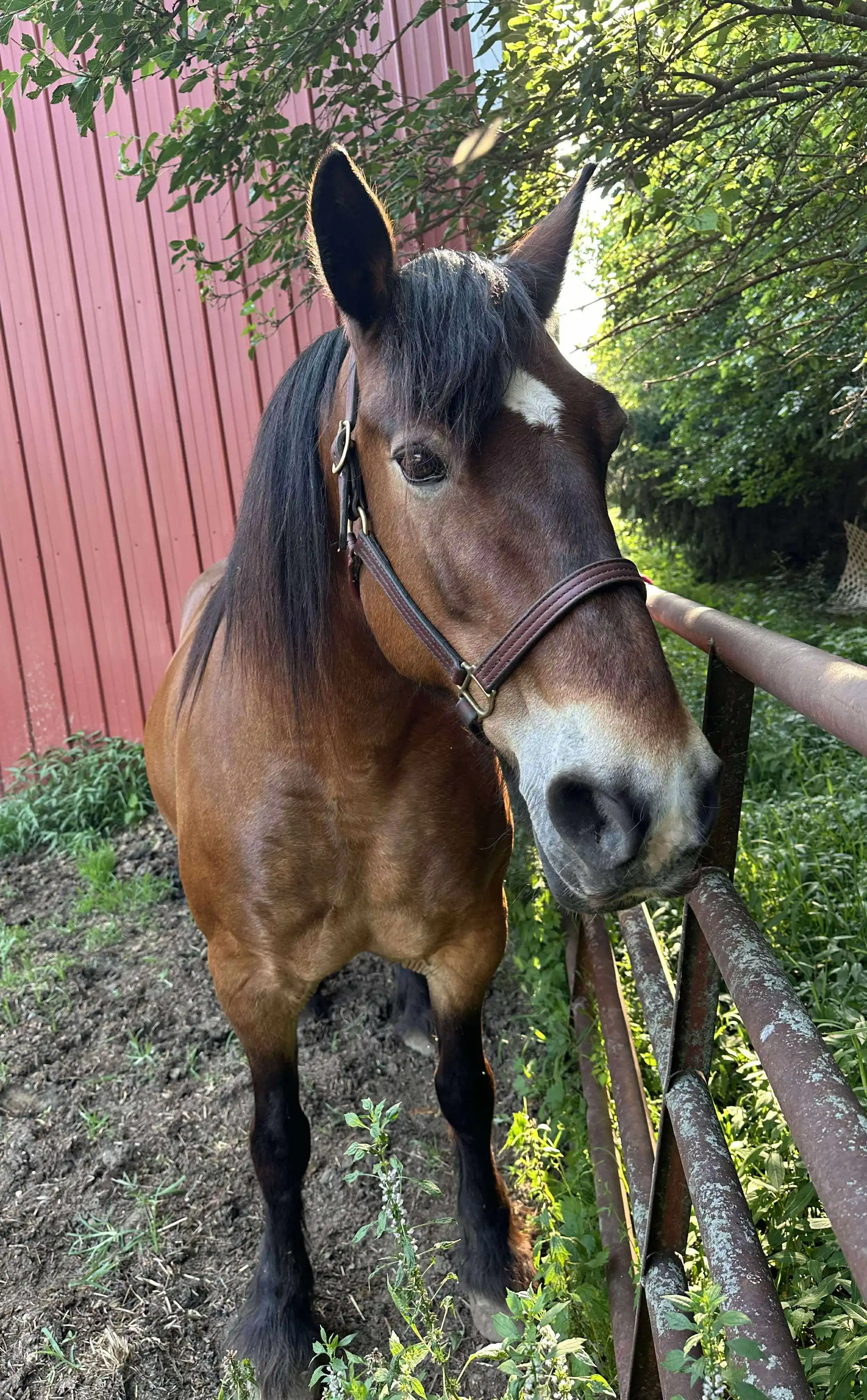 Carly Jo - Media (Unknown)