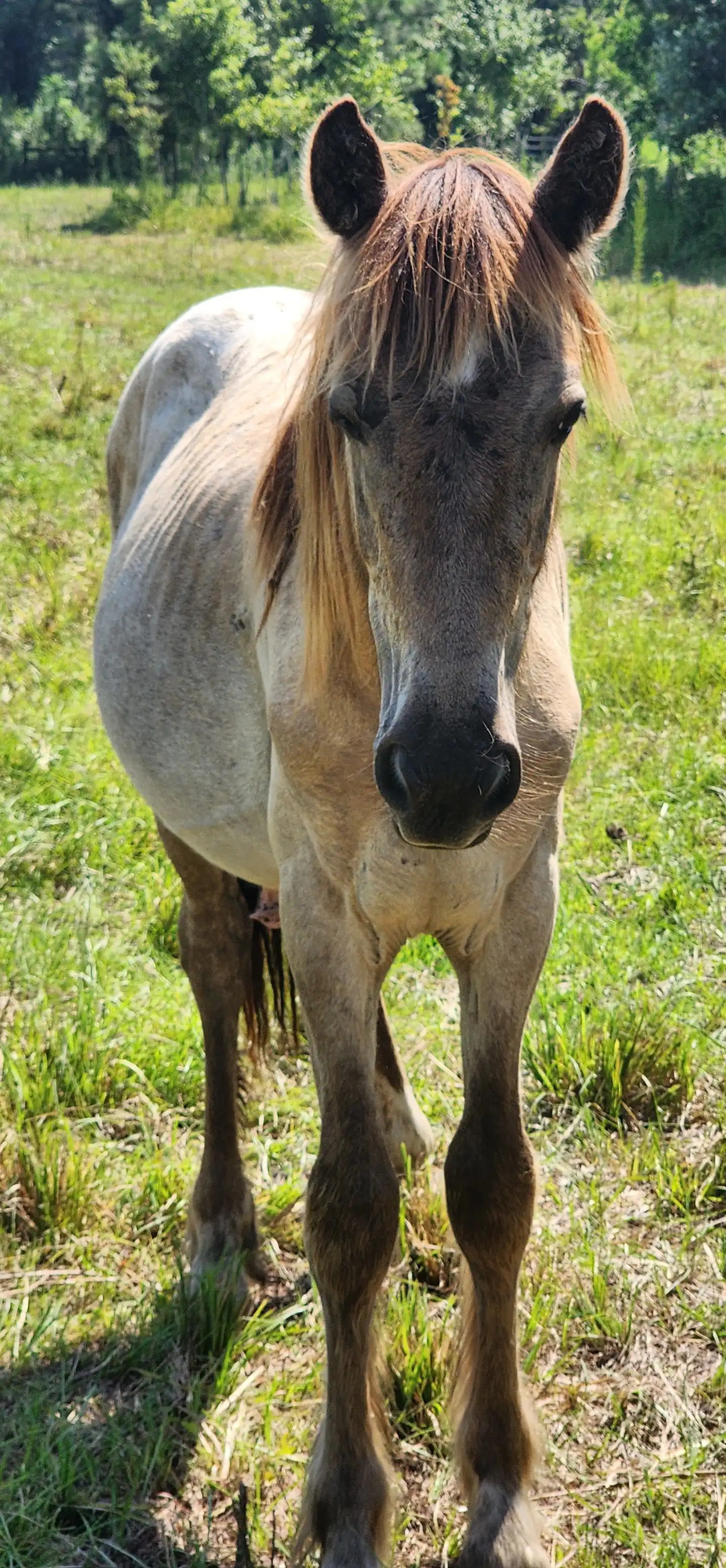 G.S. Cozy up - Media (Unknown)