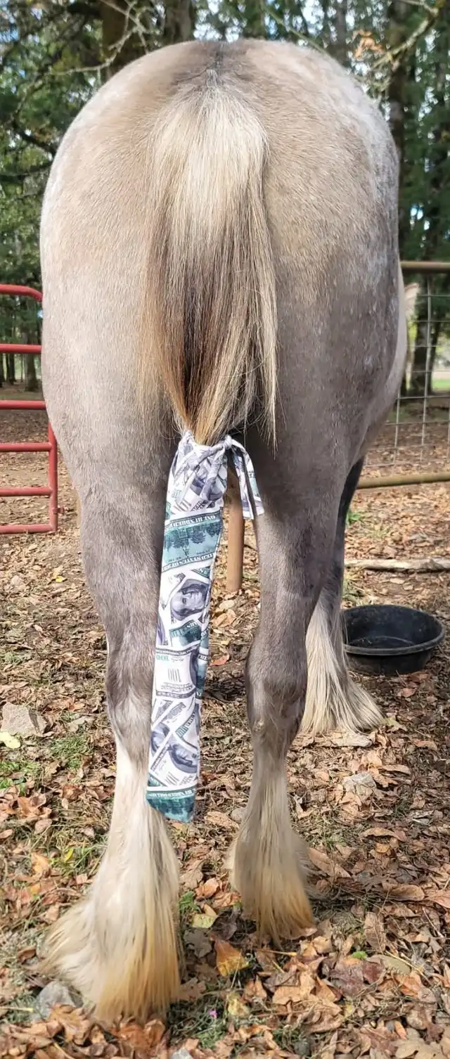 SSR Ladys Miracle - Media (Unknown)