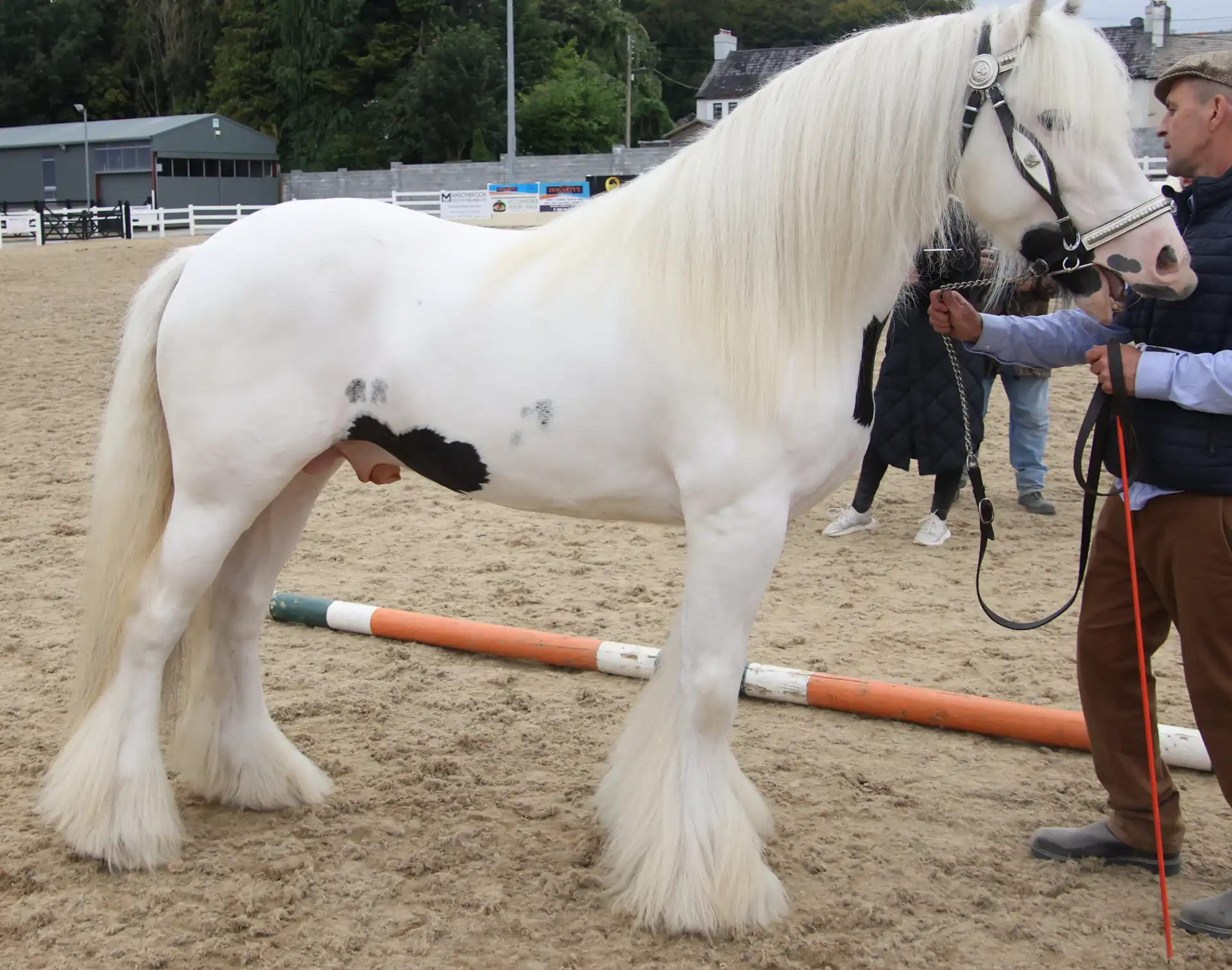 Big Tom - Media (Unknown)