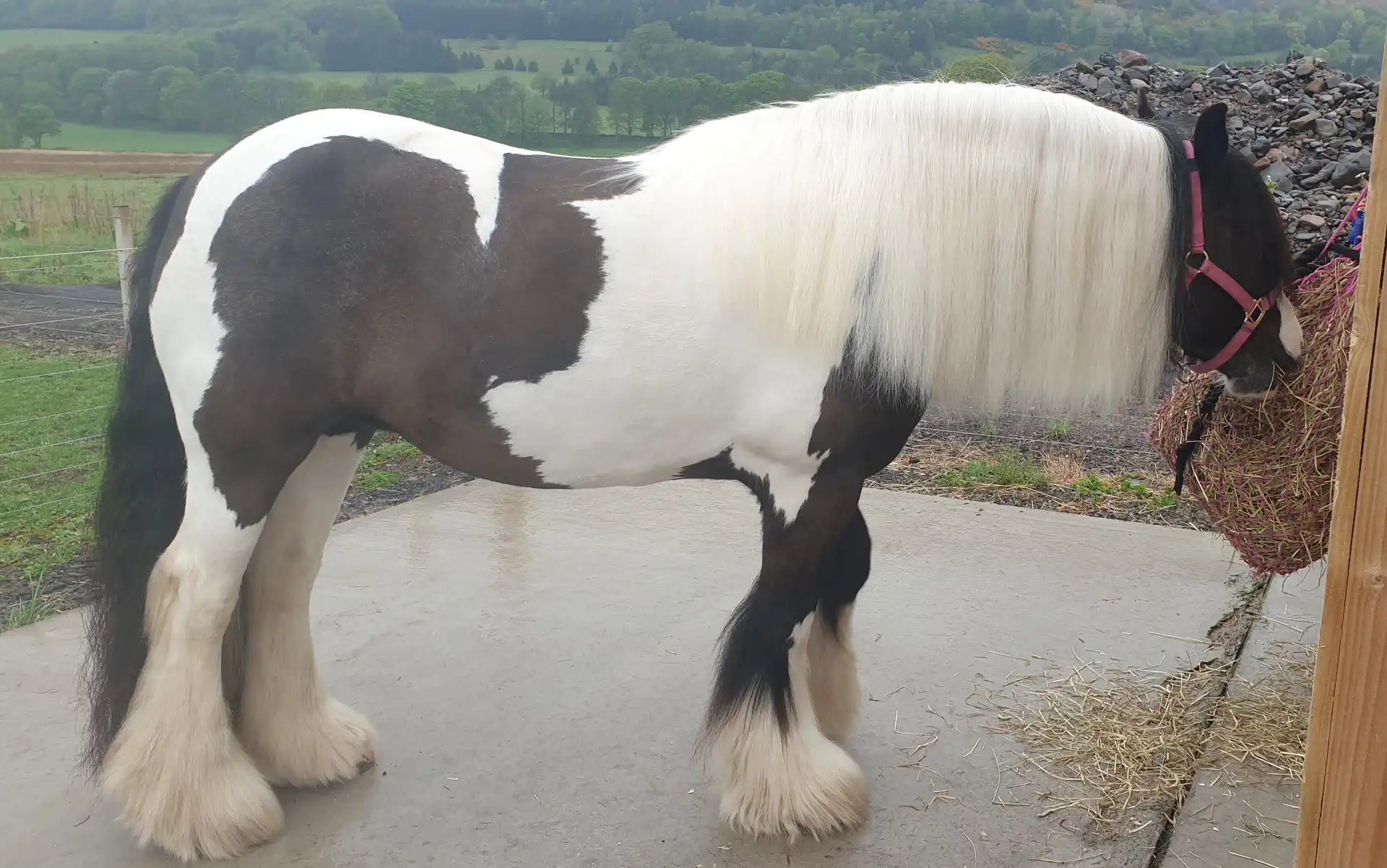 My Bonnie Lass - Media (Unknown)