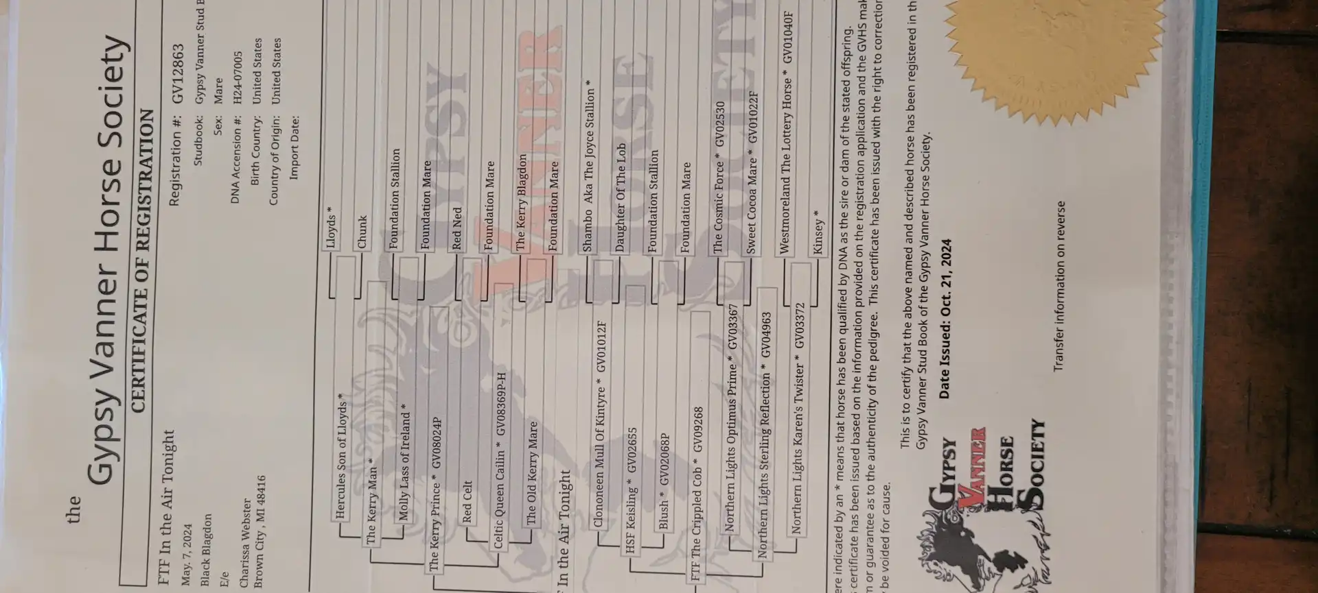 Registration Pedigree - Media (2005)