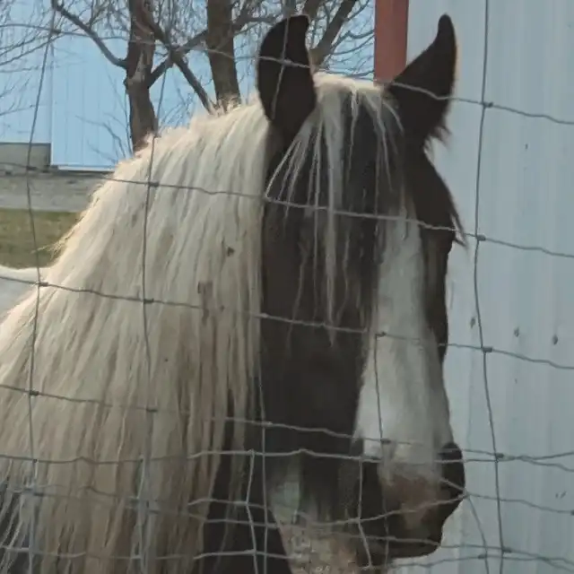 Lena - Media (Unknown)