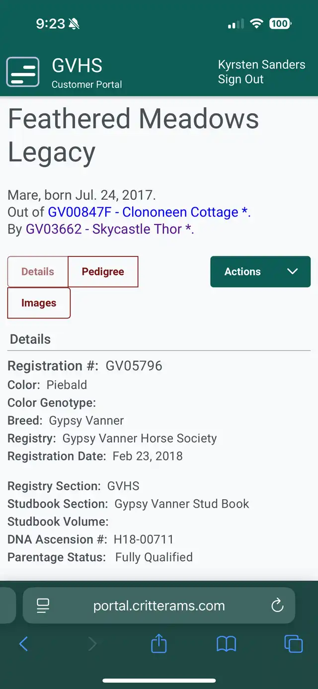 Registration Pedigree - Media (1975)