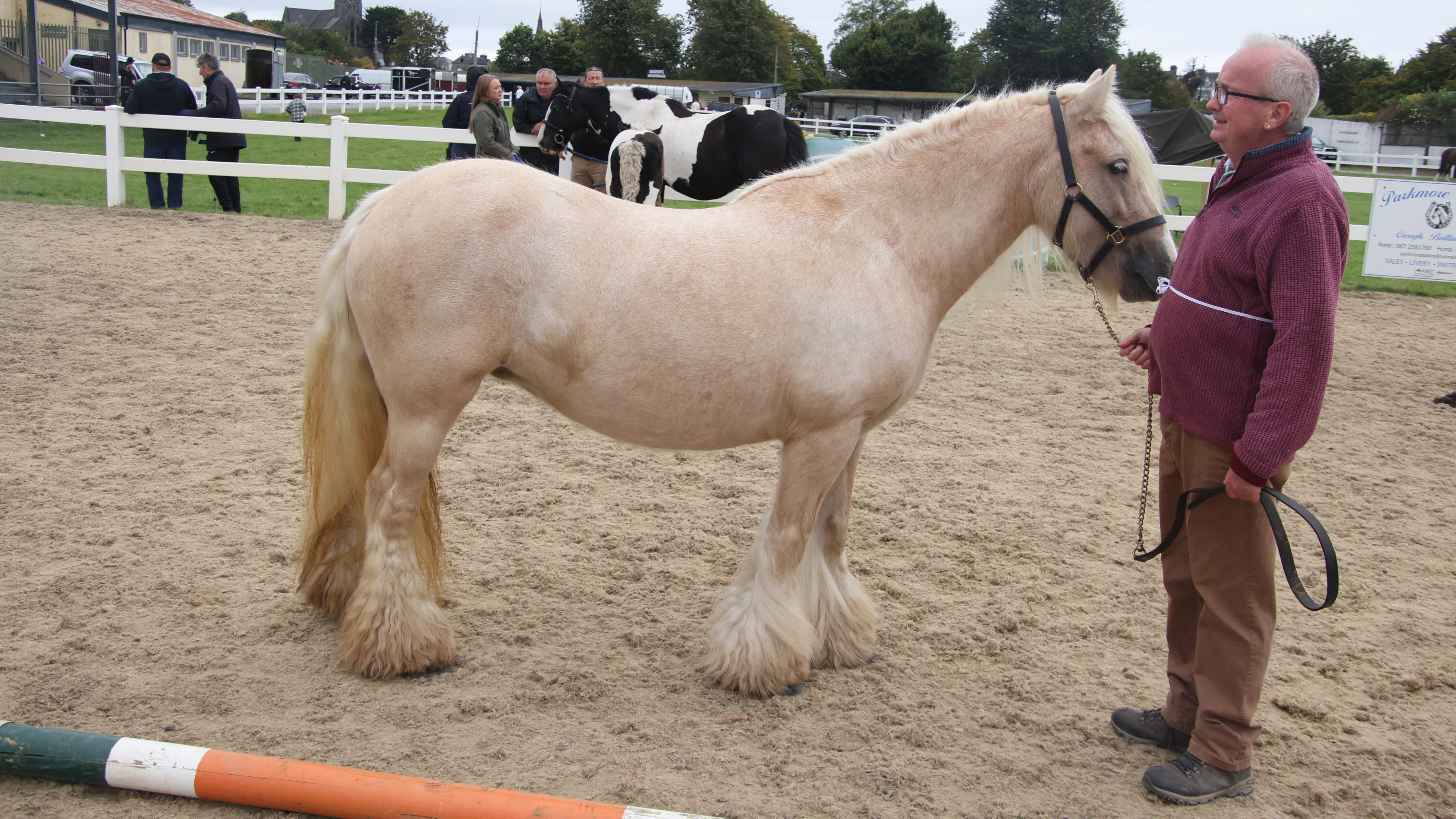 Blondie - Media (Unknown)