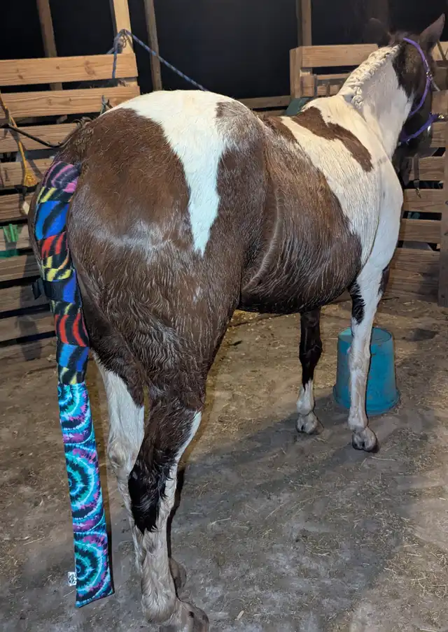 Starfall Over Kairo - Media (Unknown)