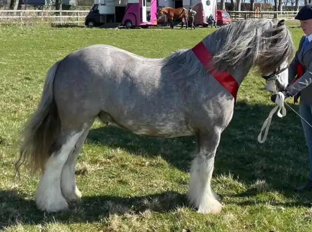 Turn It Up - Media (Unknown)