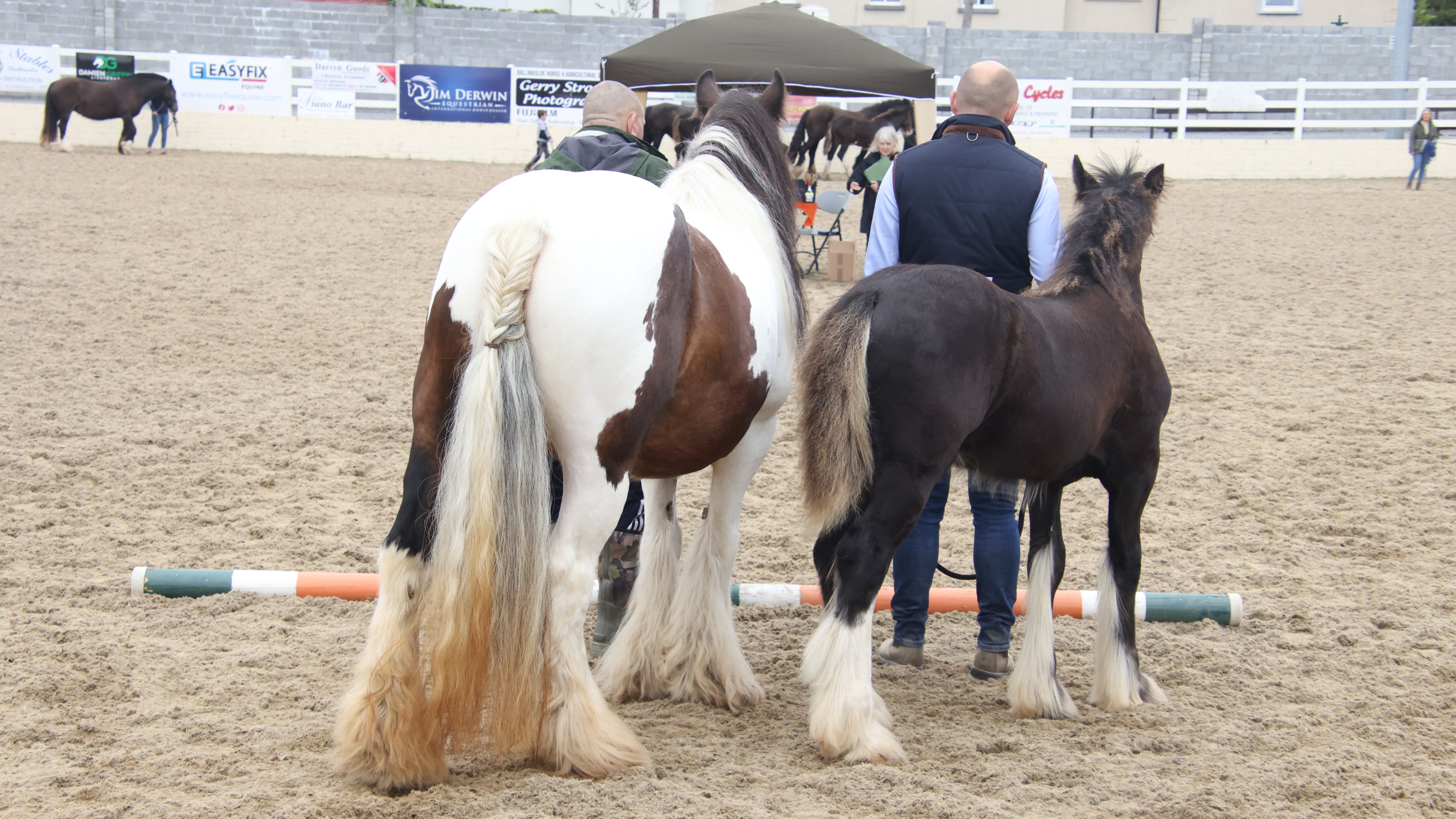 Demi - Media (Unknown)