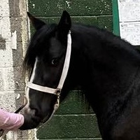 Manhatten - Media (Unknown)