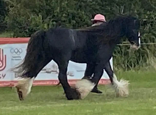 Mr. Vincent - Media (Unknown)