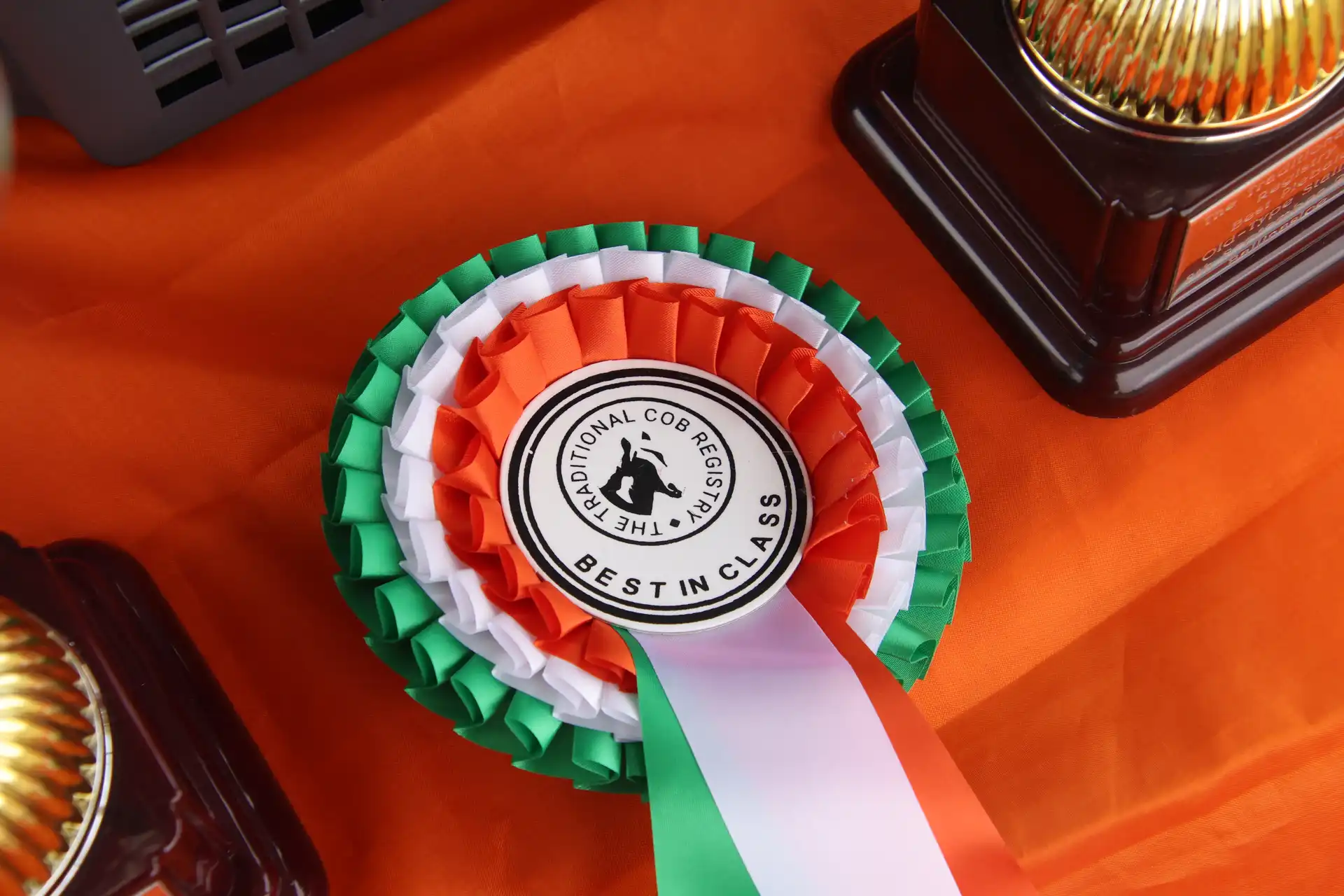 TCR Traditional Cob Autumn Show 2024