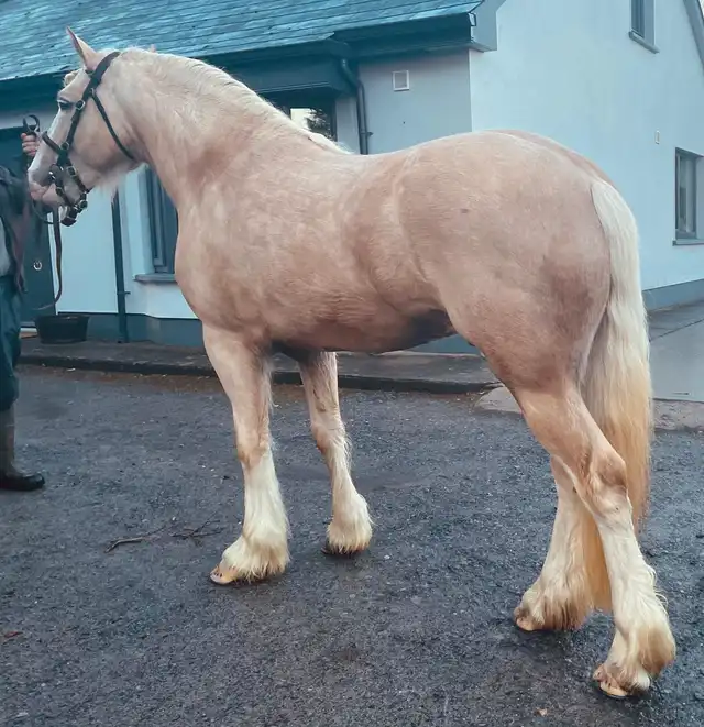 1000028869.jpg - Media (2867)