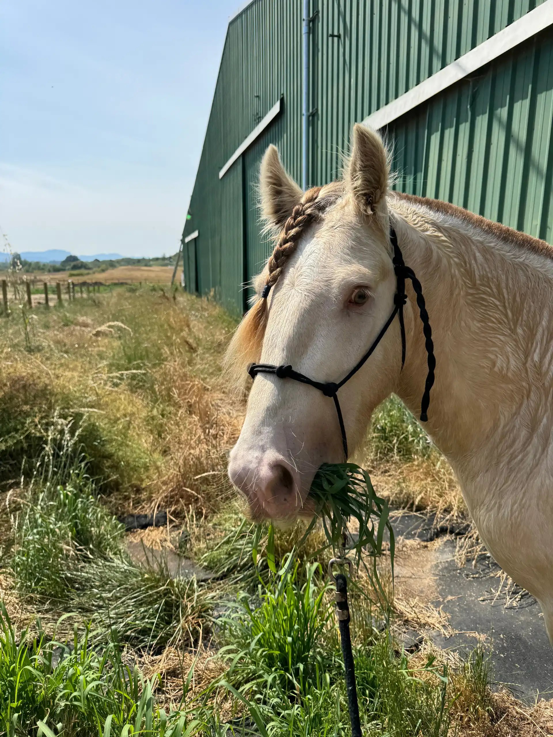 Five Star Million Dollar Jackpot - Media (Unknown)